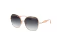 Ana Hickmann Gafas de Sol AH 3287 04A
