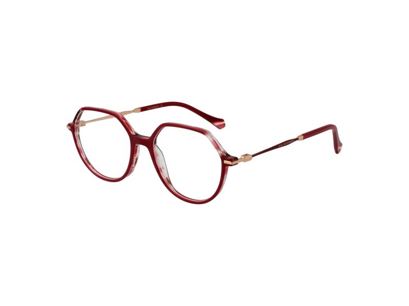 Ana Hickmann Gafas Graduadas AH 6480 H02