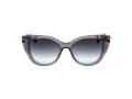 Ana Hickmann Gafas de Sol AH 9419 T01