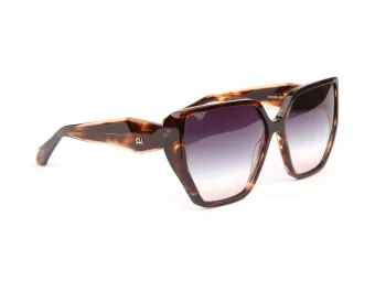 Ana Hickmann Gafas de Sol AH 9420 E01