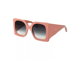 Ana Hickmann Gafas de Sol AH 9434 D01