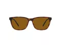 Arnette Cortex Gafas de Sol AN 4291 277083