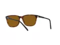 Arnette Cortex Gafas de Sol AN 4291 277083