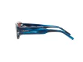 Arnette Gullwing AN 4292 12174X 55 Gafas de sol