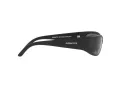 Arnette Catfish Gafas de Sol AN 4302 275881_65