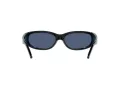 Arnette Catfish Gafas de Sol AN 4302 281880