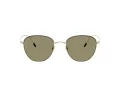 Giorgio Armani Gafas de Sol AR 6048 30132A