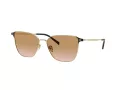 Giorgio Armani Gafas de Sol AR 6155 301313