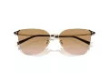 Giorgio Armani Gafas de Sol AR 6155 301313