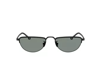 Giorgio Armani Gafas de Sol AR 6166J 300111