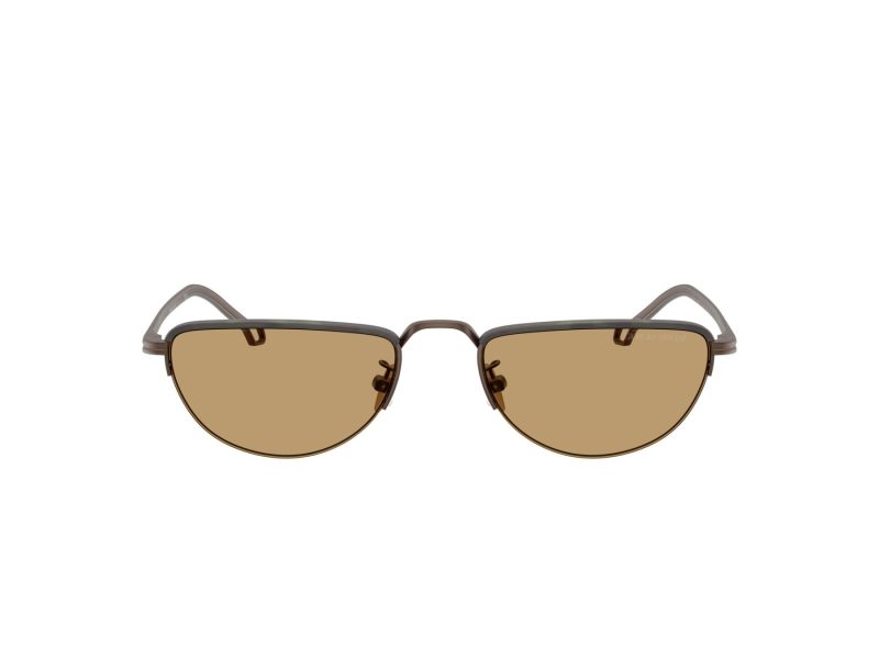 Giorgio Armani Gafas de Sol AR 6166J 300673