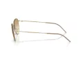 Giorgio Armani Gafas de Sol AR 6168 300213