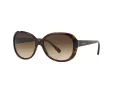 Giorgio Armani Gafas de Sol AR 8047 502613