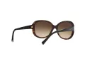 Giorgio Armani Gafas de Sol AR 8047 502613