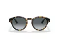 Giorgio Armani Gafas de Sol AR 8146 587486