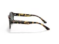 Giorgio Armani Gafas de Sol AR 8146 587486