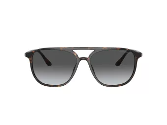 Giorgio Armani Gafas de Sol AR 8179 5026T3