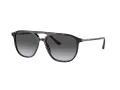 Giorgio Armani Gafas de Sol AR 8179 5026T3