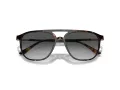 Giorgio Armani Gafas de Sol AR 8179 5026T3