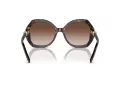 Giorgio Armani Gafas de Sol AR 8180 502613