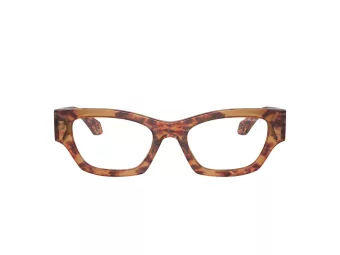 Giorgio Armani Gafas de Sol AR 8185U 59781W