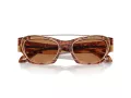 Giorgio Armani Gafas de Sol AR 8185U 59781W
