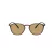 Giorgio Armani Gafas de Sol AR 8186U 508973