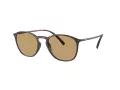 Giorgio Armani Gafas de Sol AR 8186U 508973