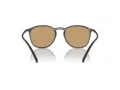 Giorgio Armani Gafas de Sol AR 8186U 508973