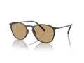Giorgio Armani Gafas de Sol AR 8186U 508973