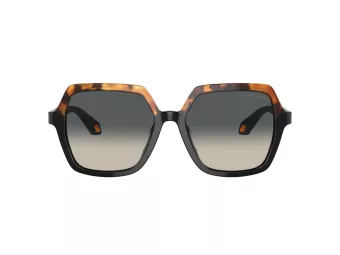 Giorgio Armani Gafas de Sol AR 8193U 587519