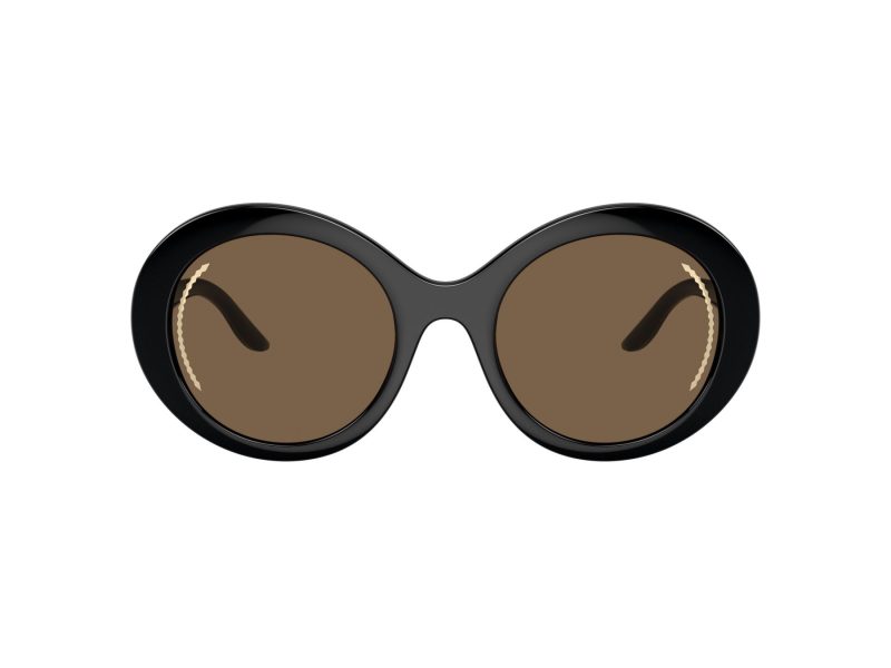 Giorgio Armani Gafas de Sol AR 8204 500173