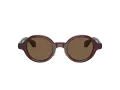 Giorgio Armani Gafas de Sol AR 8205 606273