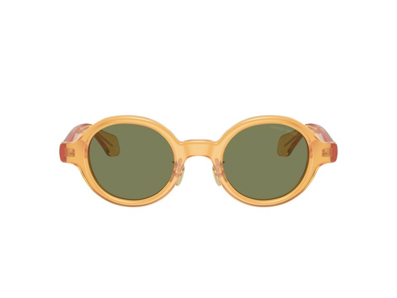 Giorgio Armani Gafas de Sol AR 8205 60632A