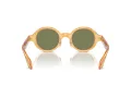 Giorgio Armani Gafas de Sol AR 8205 60632A