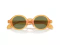 Giorgio Armani Gafas de Sol AR 8205 60632A