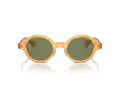 Giorgio Armani Gafas de Sol AR 8205 60632A
