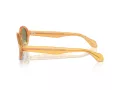 Giorgio Armani Gafas de Sol AR 8205 60632A