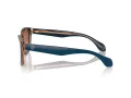 Giorgio Armani Gafas de Sol AR 8207 608513