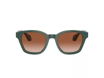 Giorgio Armani Gafas de Sol AR 8207 608613