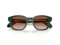 Giorgio Armani Gafas de Sol AR 8207 608613