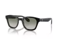 Giorgio Armani Gafas de Sol AR 8207 60873M