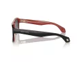 Giorgio Armani Gafas de Sol AR 8209 6069B1