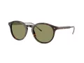 Giorgio Armani Gafas de Sol AR 8211 587914
