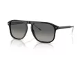 Giorgio Armani Gafas de Sol AR 8212 587571
