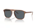 Giorgio Armani Gafas de Sol AR 8212 5932R5