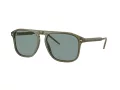 Giorgio Armani Gafas de Sol AR 8212 607456
