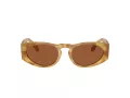Giorgio Armani Gafas de Sol AR 8216 597973