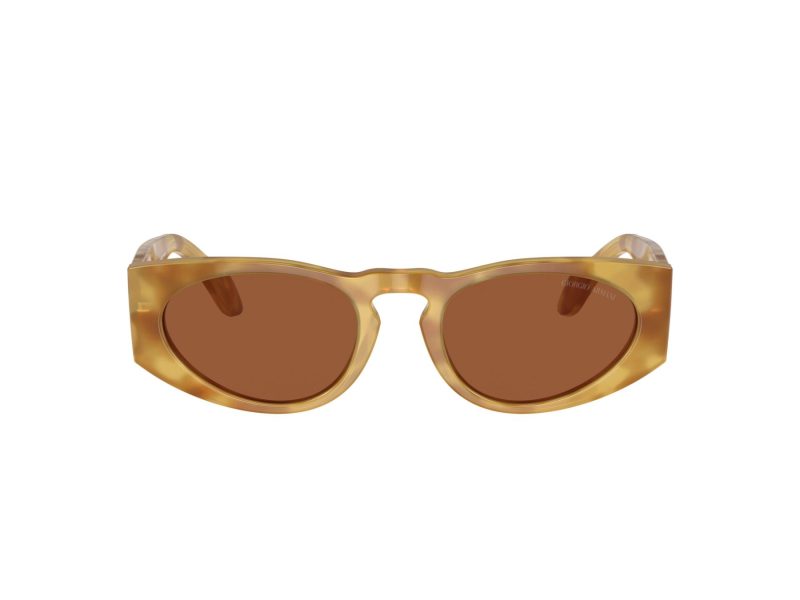 Giorgio Armani Gafas de Sol AR 8216 597973
