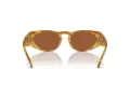 Giorgio Armani Gafas de Sol AR 8216 597973
